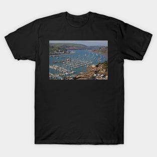 The River Dart T-Shirt